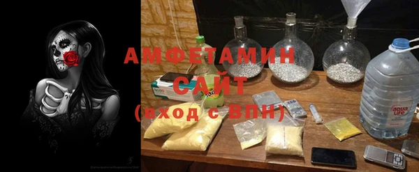 стаф Верея