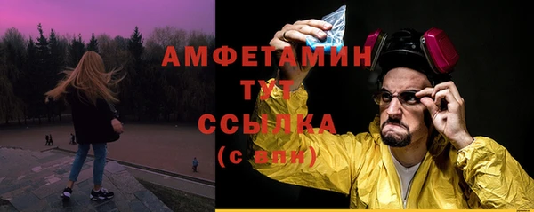 стаф Верея