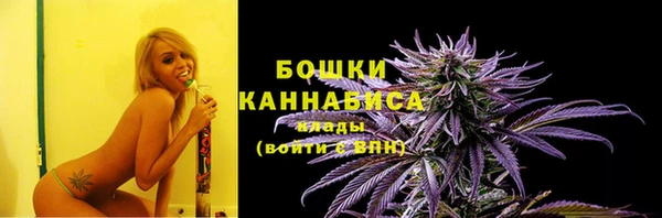 стаф Верея