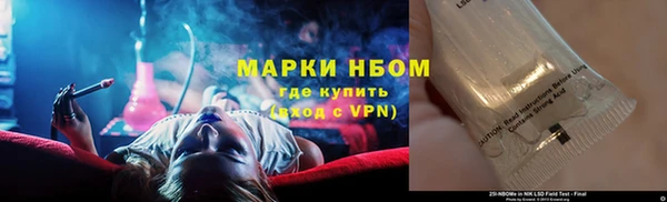 стаф Верея