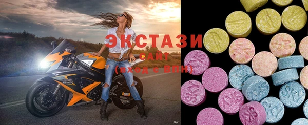 стаф Верея