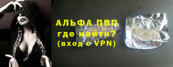 стаф Верея