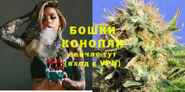 стаф Верея