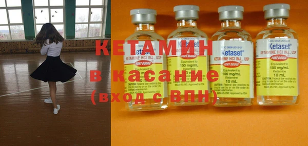 стаф Верея