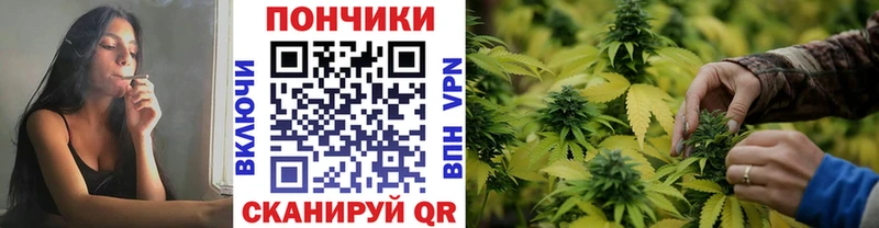 Конопля план  Купить где  Белово 